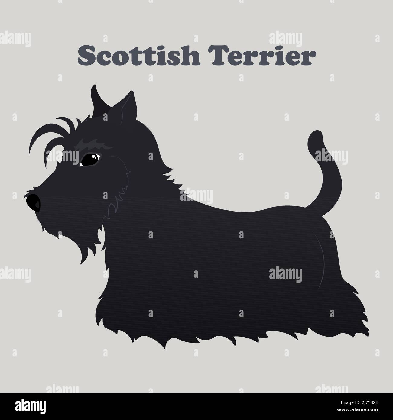 Terrier scozzese. Stampa con cane con sfondo. Illustrazione Vettoriale