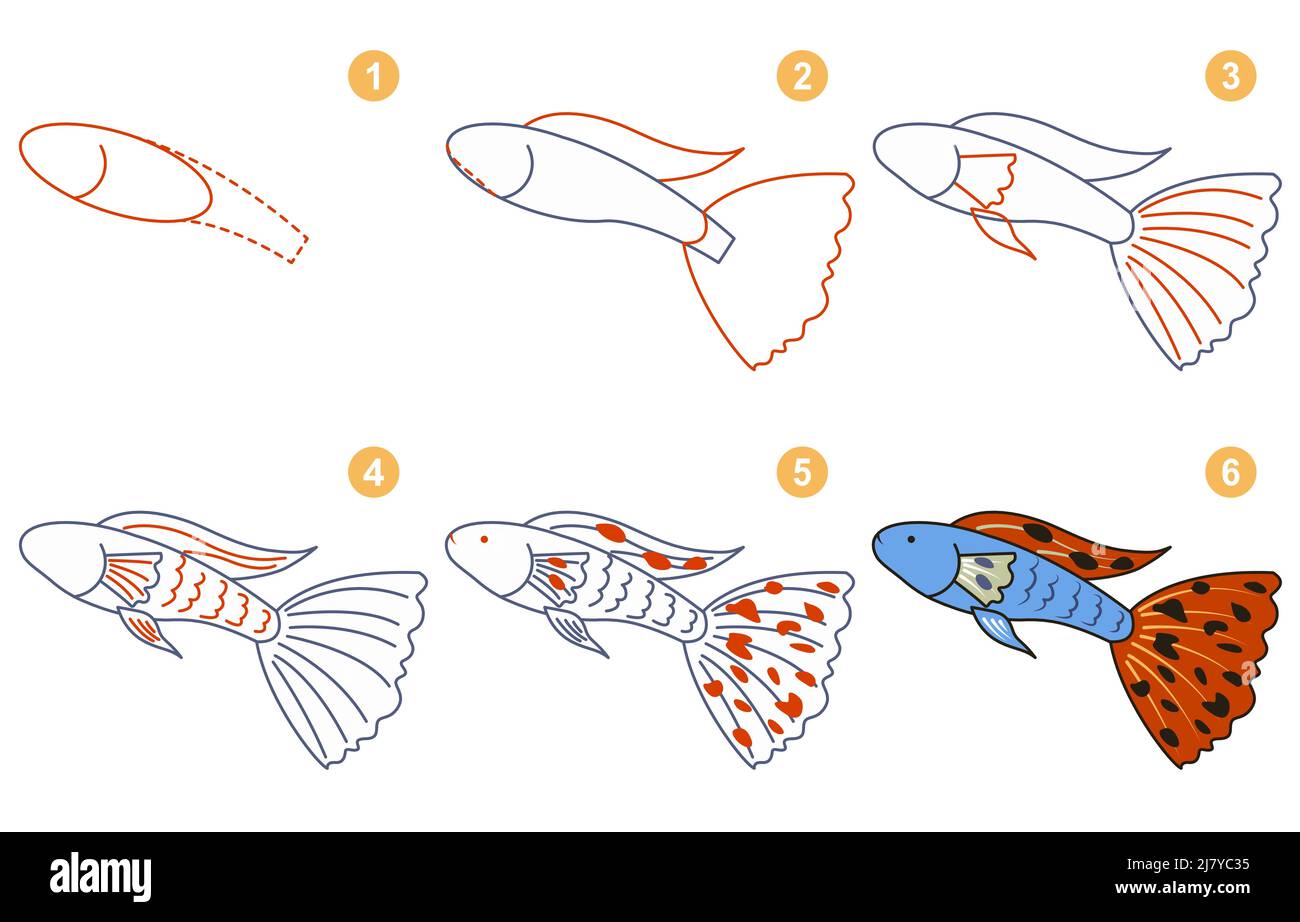 Istruzioni per il disegno guppy. Passo dopo passo. Illustrazione Vettoriale