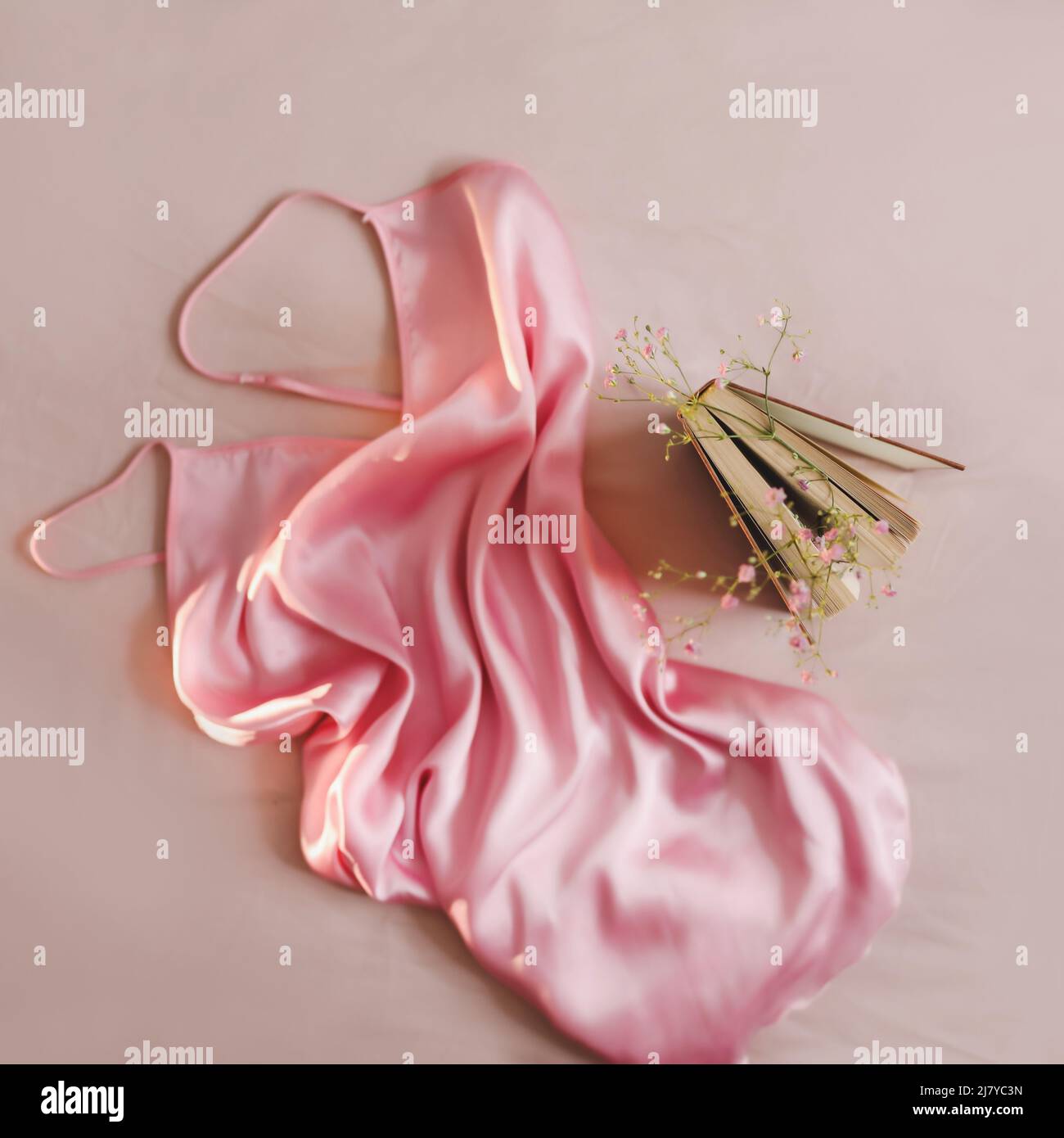 Bellezza e moda blog concetto. Accessori eleganti e femminili, vista dall'alto piatta. Donna abito di seta rosa e un libro. Foto di alta qualità Foto Stock