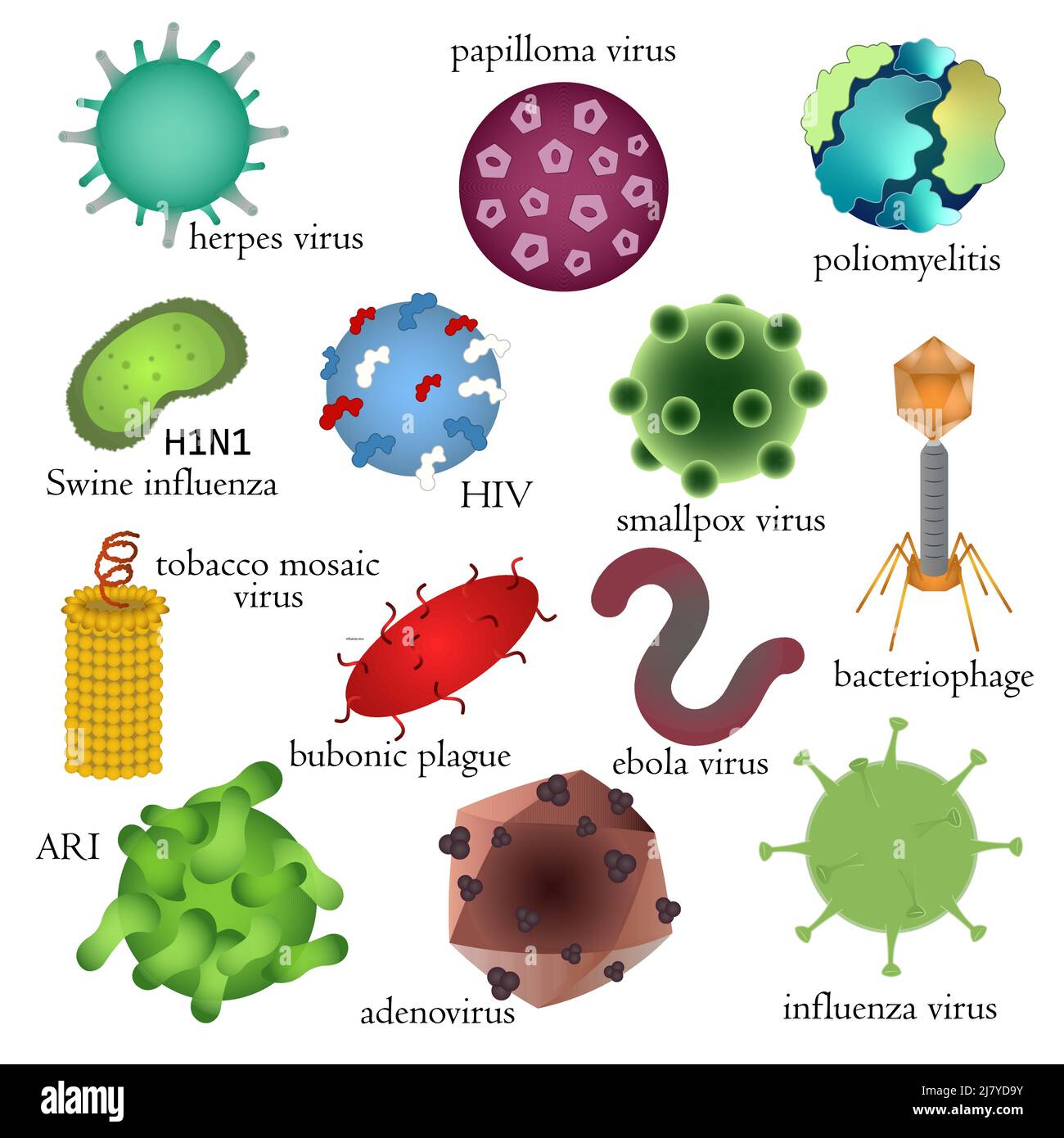 Set di virus umani pericolosi. Illustrazione medica. Illustrazione Vettoriale