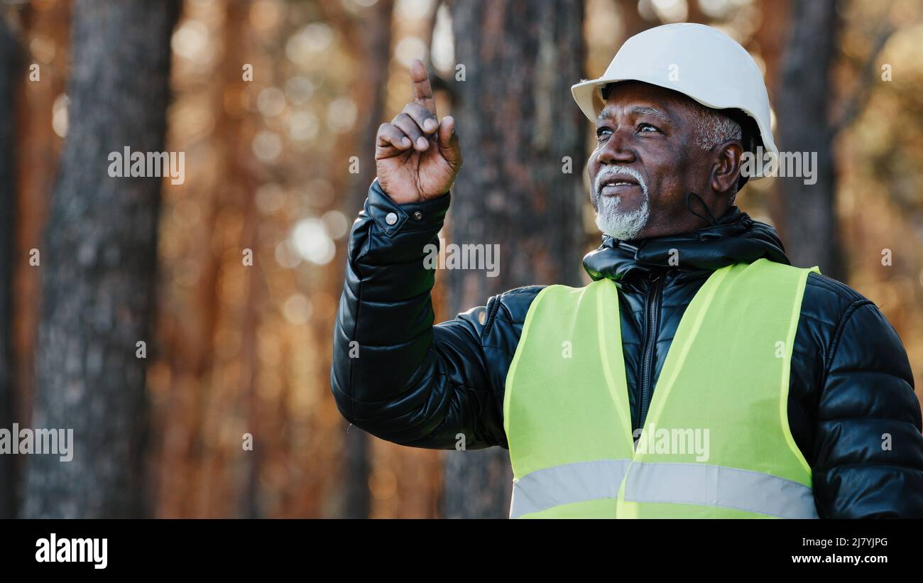 Anziano ingegnere forestale professionale condivide l'esperienza valuta l'ambiente un uomo che controlla l'abbattimento di alberi di emergenza vecchio forester in Foto Stock