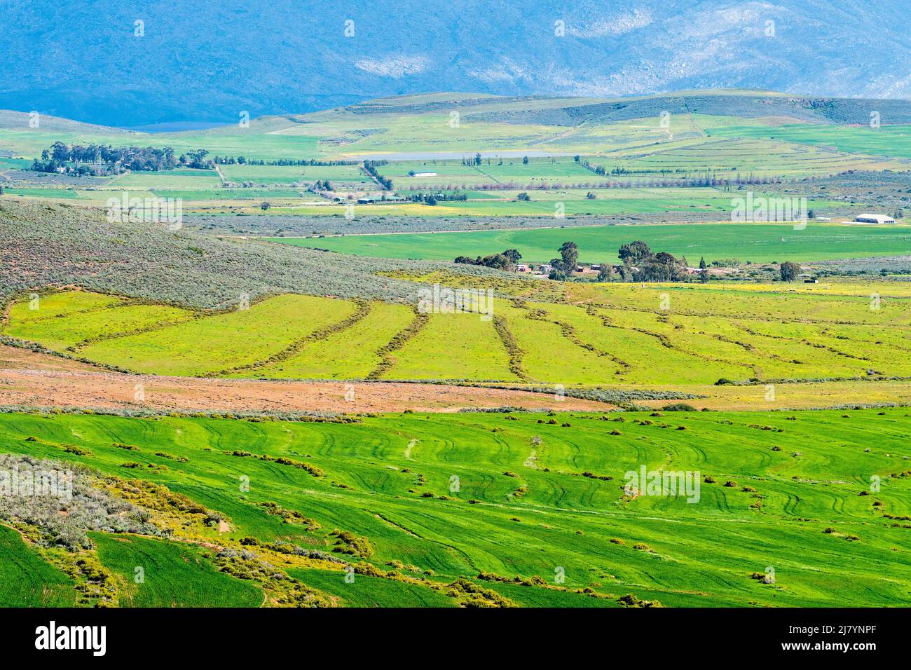 Vista aerea del paesaggio agricolo a Ceres, Capo Occidentale, Sudafrica con vista panoramica di terreni agricoli o fattorie nella stagione invernale concetto di agricoltura Foto Stock