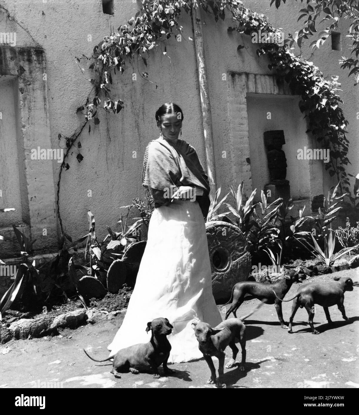 Frida Kahlo, 1940s Foto Stock