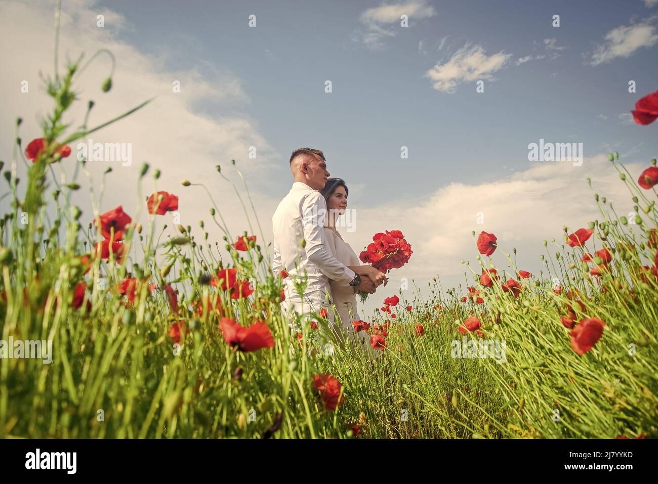 coppia romantica abbraccio tra papaveri, amore e romanticismo. oppio. Foto Stock