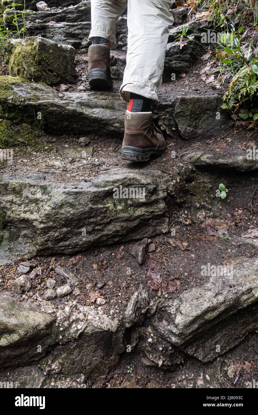 Il vario percorso che si snoda sul Vogelbergsteig fino alle rovine storiche del castello di Dürnstein è uno dei percorsi escursionistici più belli del Wachau. Foto Stock