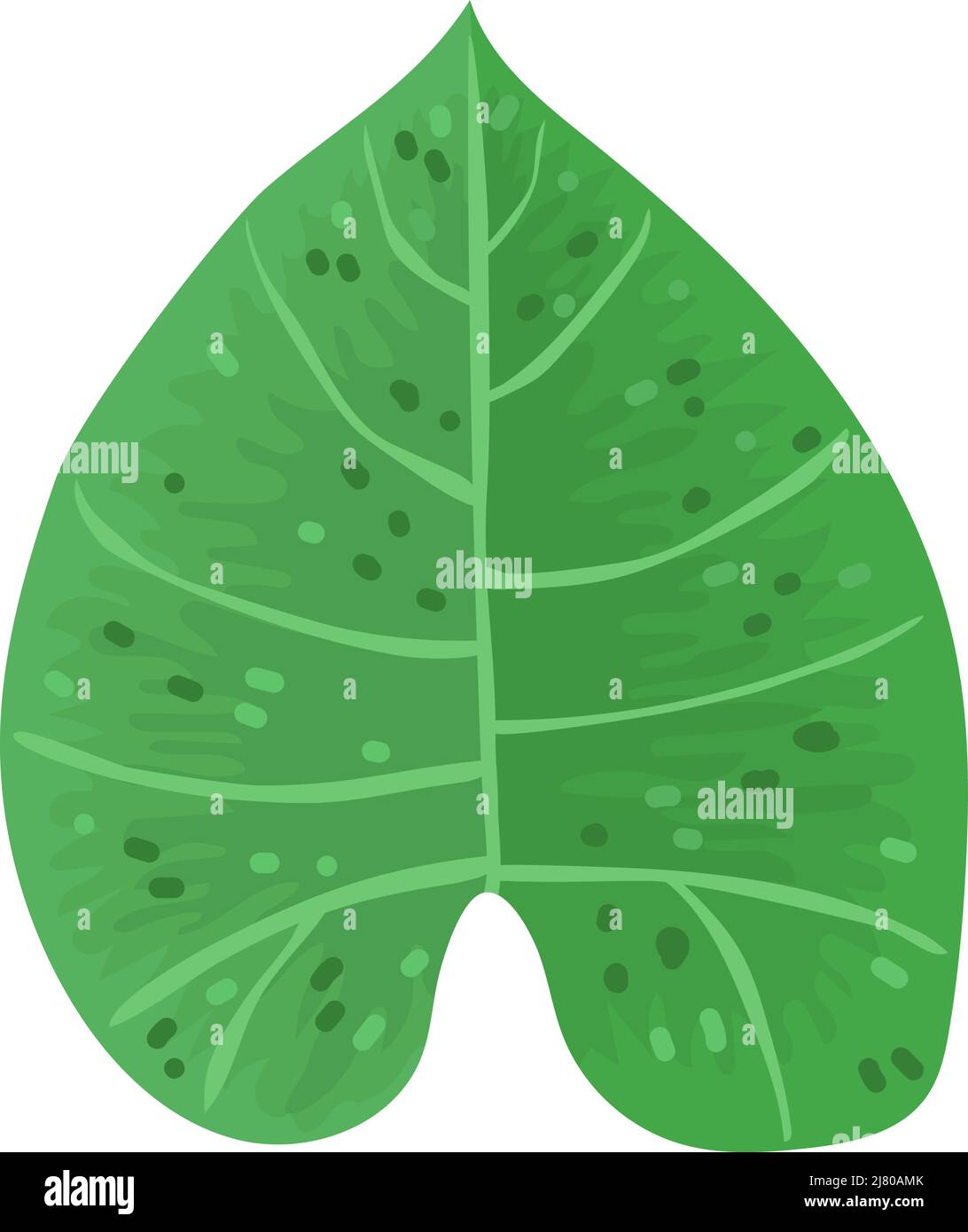 Esotica immagine vettoriale estate foglia verde su sfondo bianco. Pianta colorata dipinta a mano per qualsiasi disegno Illustrazione Vettoriale