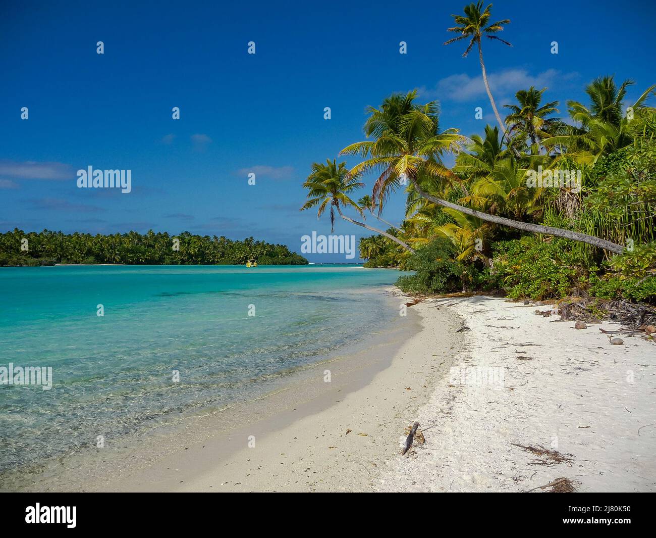 Palme su una spiaggia tropicale, laguna Aitutaki, Isole Cook Foto Stock