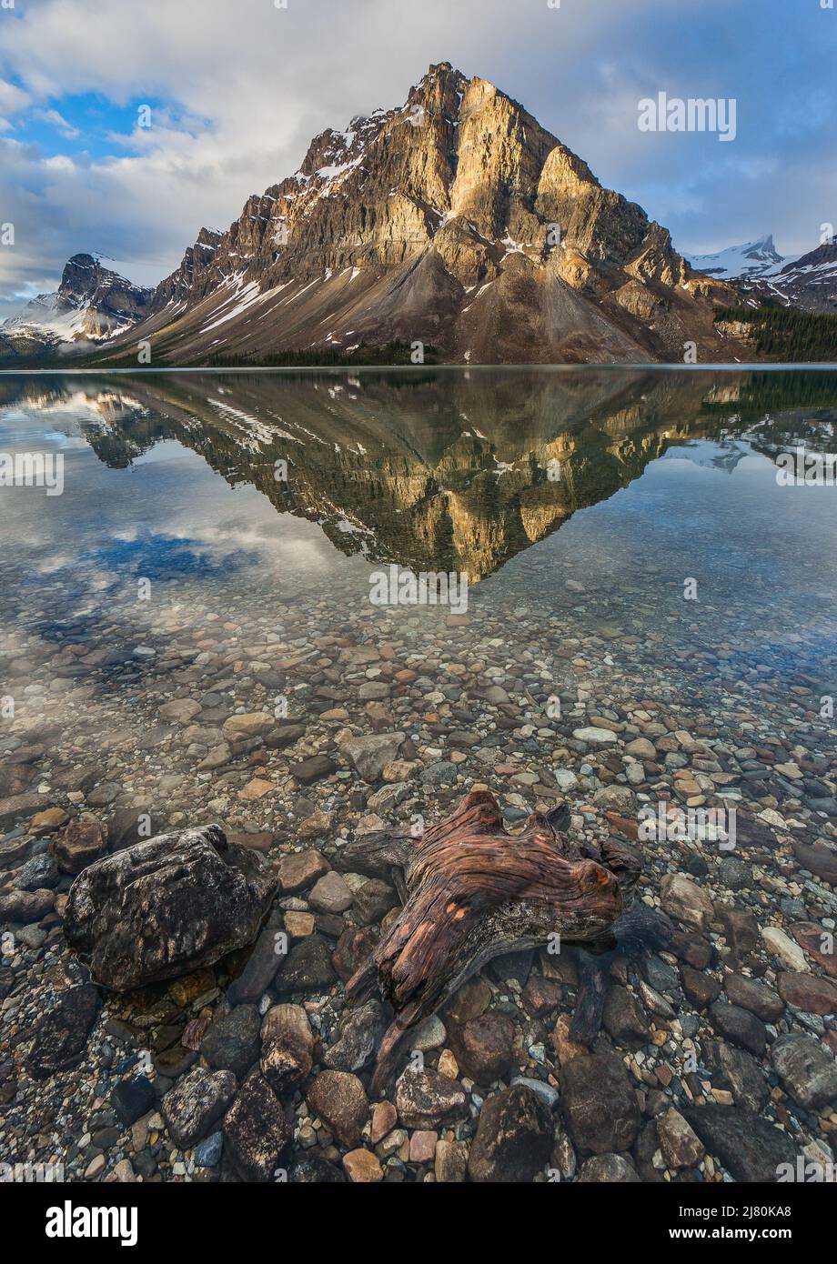 Monte Crowfoot Reflection a Bow Lake, Canadian Rockies, Banff National Park, Alberta, Canada Foto Stock