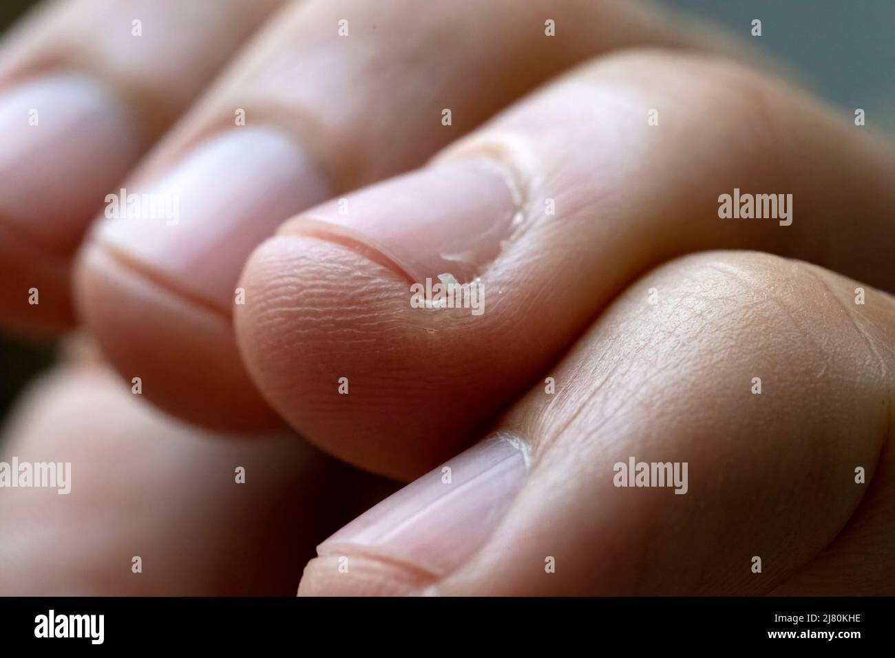 Appendere l'unghia in primo piano Foto Stock