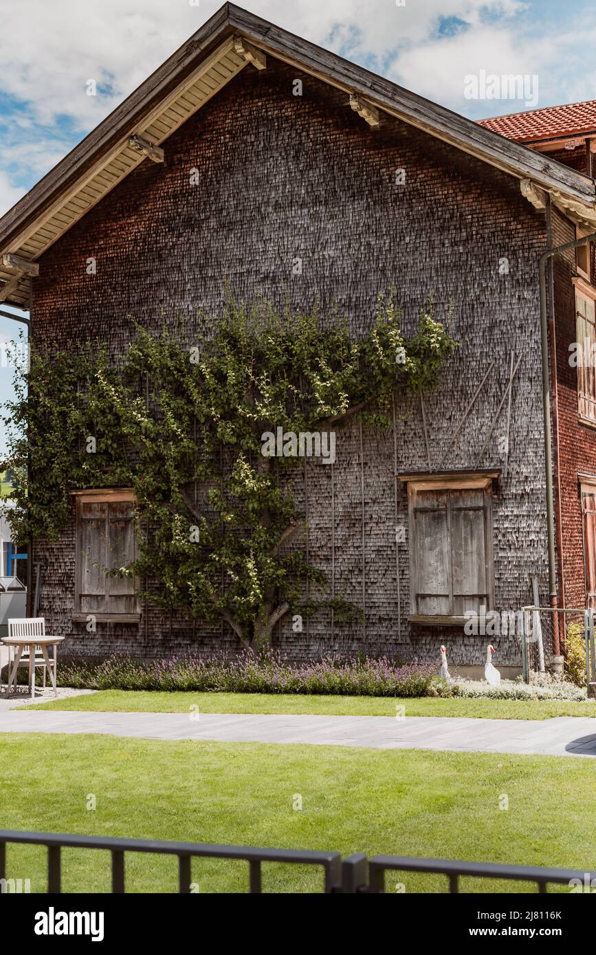 Appenzell Svizzera. 8. Luglio 2018 Case colorate nel villaggio di Appenzell in Svizzera in giornata di sole. Foto Stock