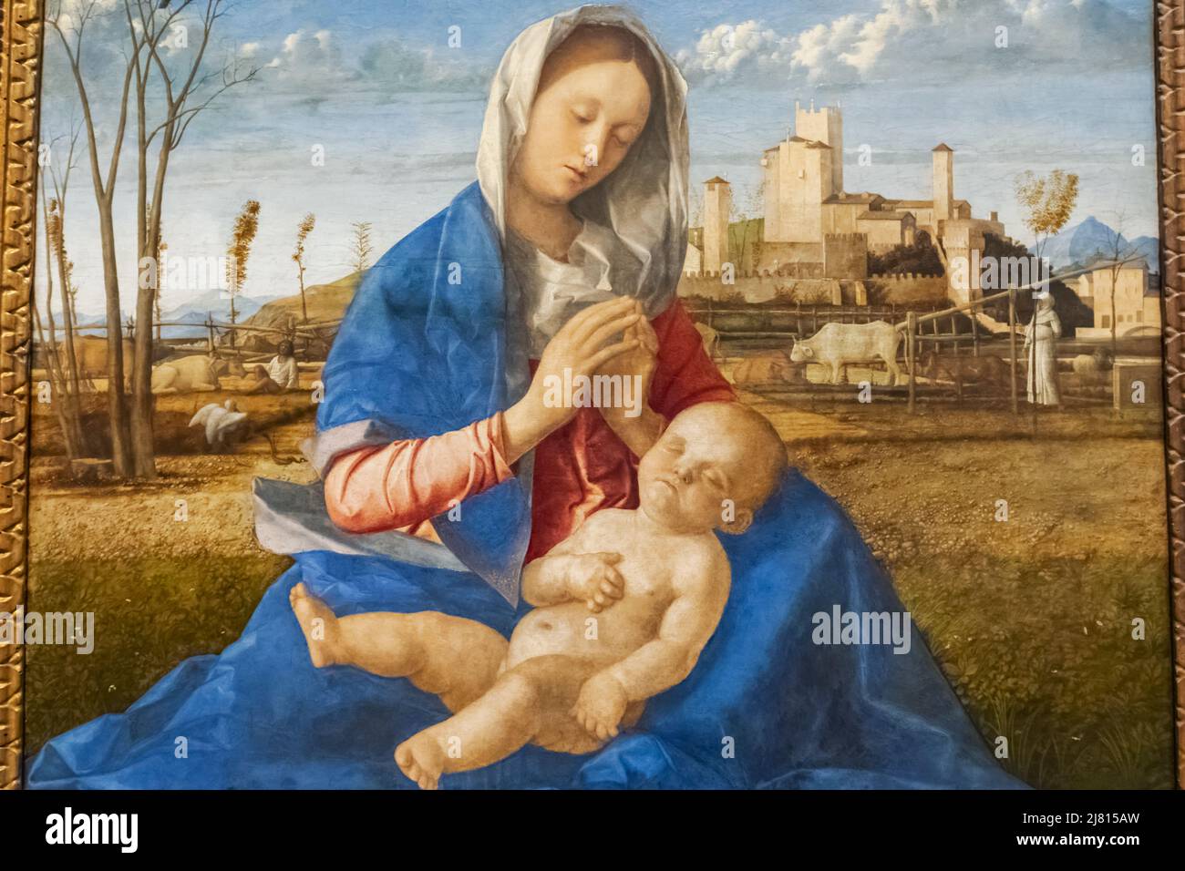 Dipinto intitolato 'la colonna del Prato' dell'artista italiano Giovanni Bellini del 1500 Foto Stock