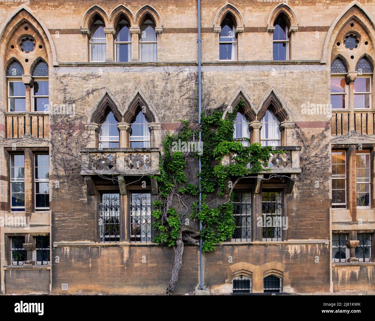 Christ Church, Oxford, uno dei college costitutivi dell'Università di Oxford; l'edificio che si affaccia sui campi da gioco Foto Stock