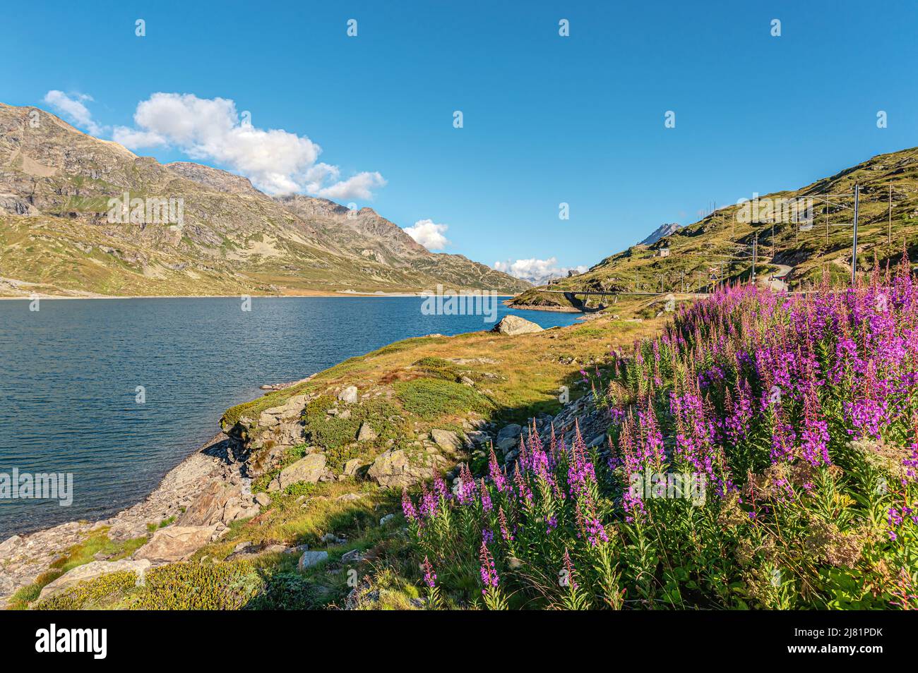 Paesaggio primaverile panoramico sul Lago Bianco al Passo del Bernina, Grigioni, Svizzera Foto Stock
