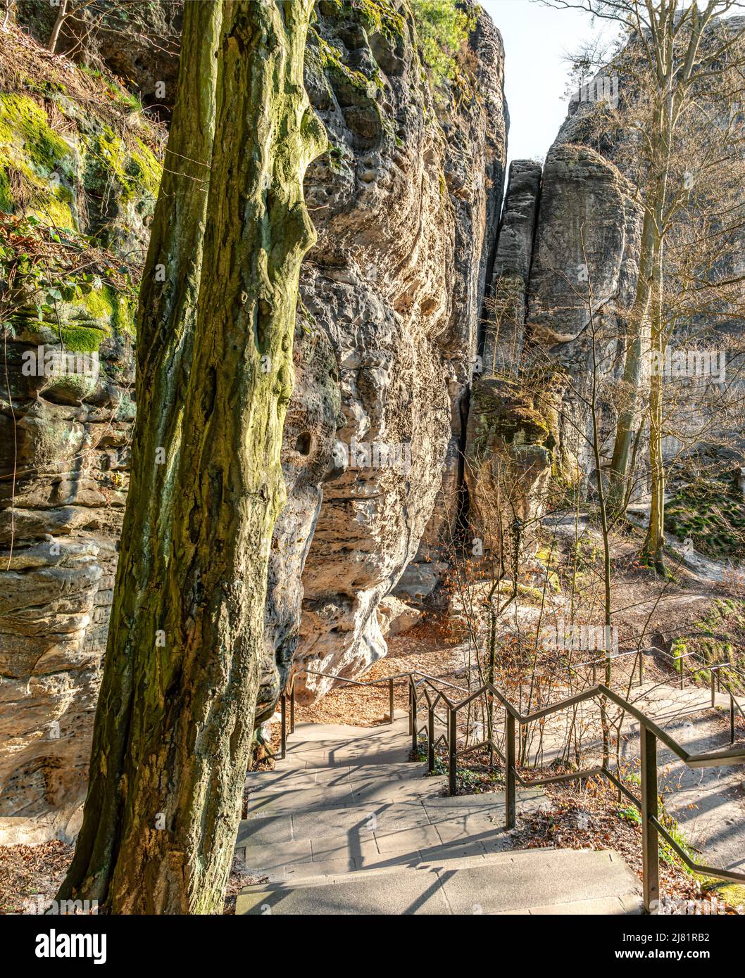 Sentiero escursionistico Malerweg sotto il Bastei al Parco Nazionale della Svizzera Sassonia, Sassonia; Germania Foto Stock