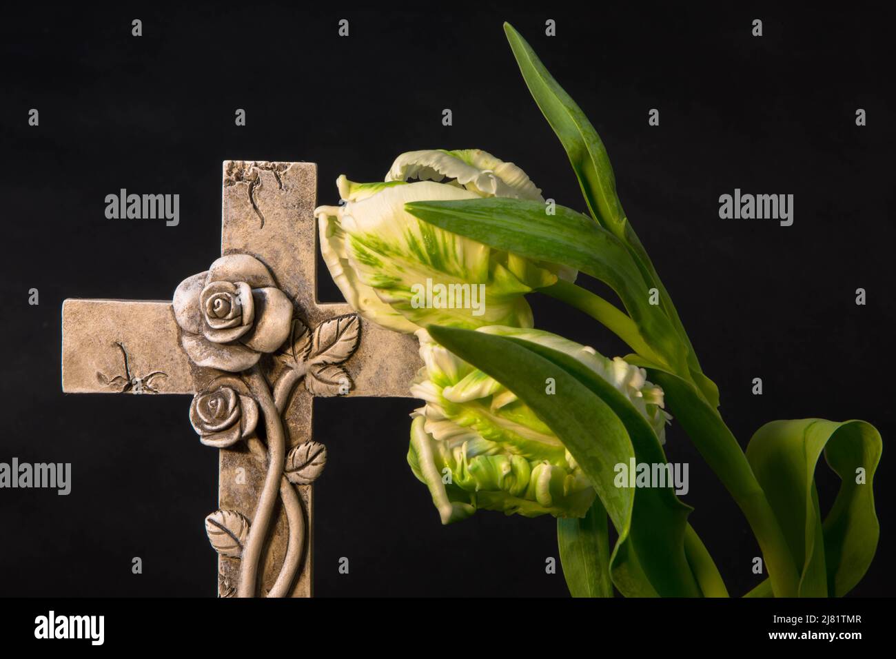 Primo piano di una croce ornata con tulipani bianchi su sfondo scuro. Momento di dolore alla fine di una vita. Ultimo addio. Funerale e lutto concetto Foto Stock