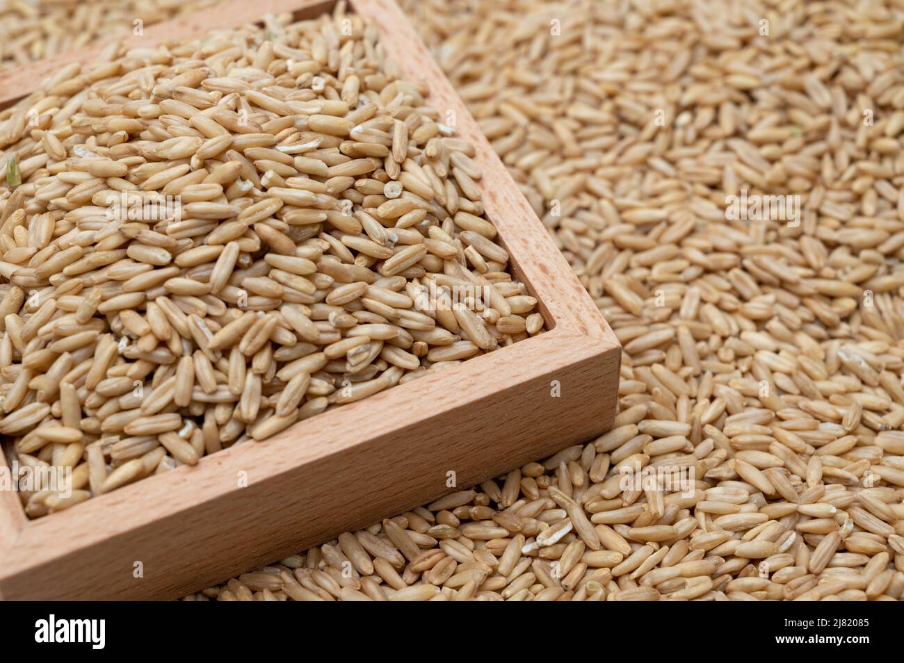 Un fondo con avena accatastato e una ciotola di legno contenente avena. Foto Stock
