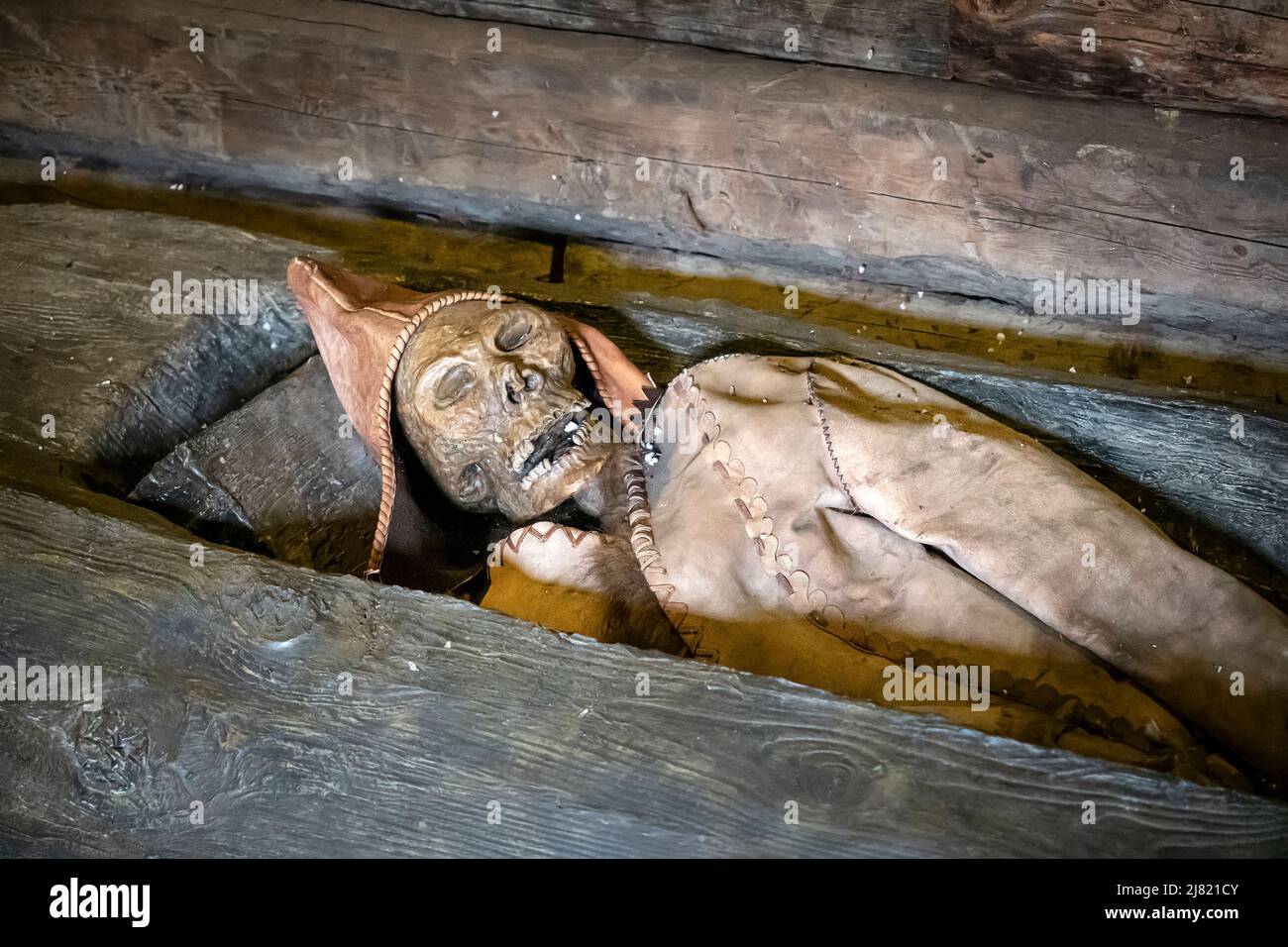 Ricostruzione della mummia scitana in Pobrebnaya camera grande tumulo scitiano sepoltura. Russia, Siberia, Altai. L'età del ferro Foto Stock