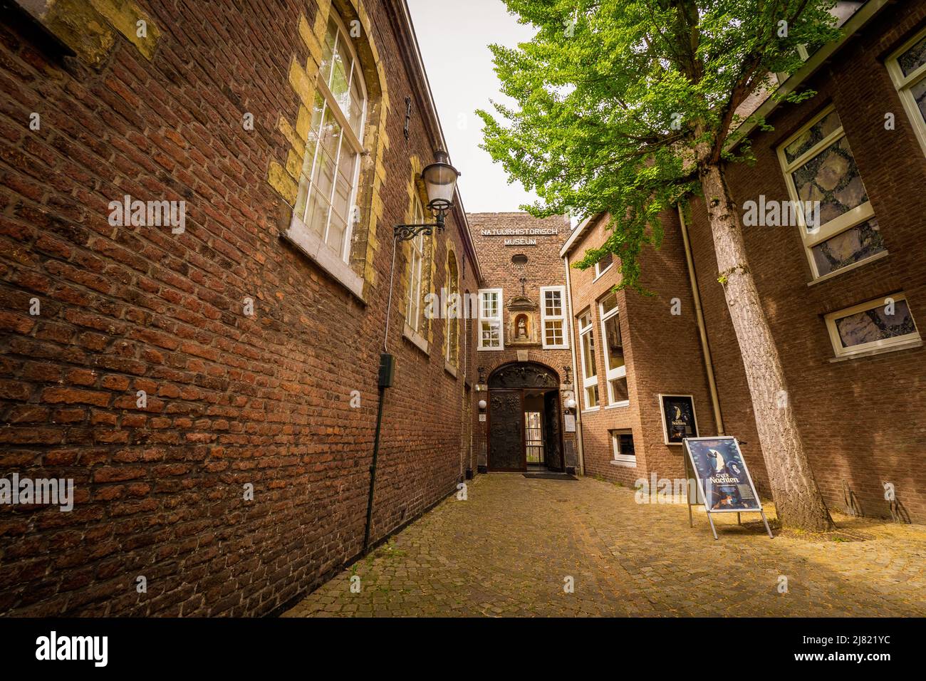 Vista esterna del Museo di Storia Naturale di Maastricht, Paesi Bassi, e l'ingresso principale Foto Stock