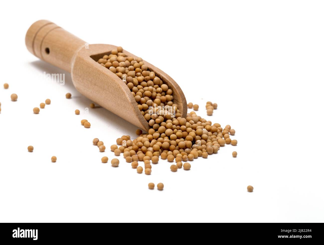 semi di senape giallo in una paletta di legno di bambù, isolato su sfondo bianco fuoco selezionato Foto Stock