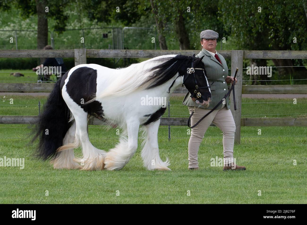 Windsor, Berkshire, Regno Unito. 12th maggio 2022. Il sole splende come concorrenti e gli ospiti hanno goduto la prima giornata del Royal Windsor Horse Show allestito nei giardini privati del Castello di Windsor. Credit: Maureen McLean/Alamy Live News Foto Stock