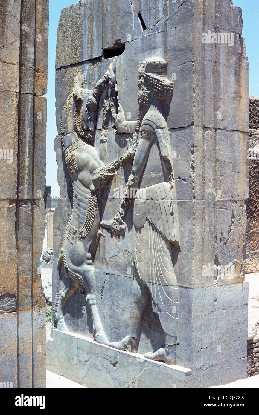 Persepolis, Iran - parete di rilievo raffigurante re uccidendo un leone cornato in stipite porta della Sala del Trono, anche conosciuta come la Sala delle cento colonne, situata nelle rovine dell'antica città di Persepolis, capitale cerimoniale dell'Impero Achemenide, nella provincia di Fars, in Iran. Immagine di archivio scattata nel 1976 Foto Stock