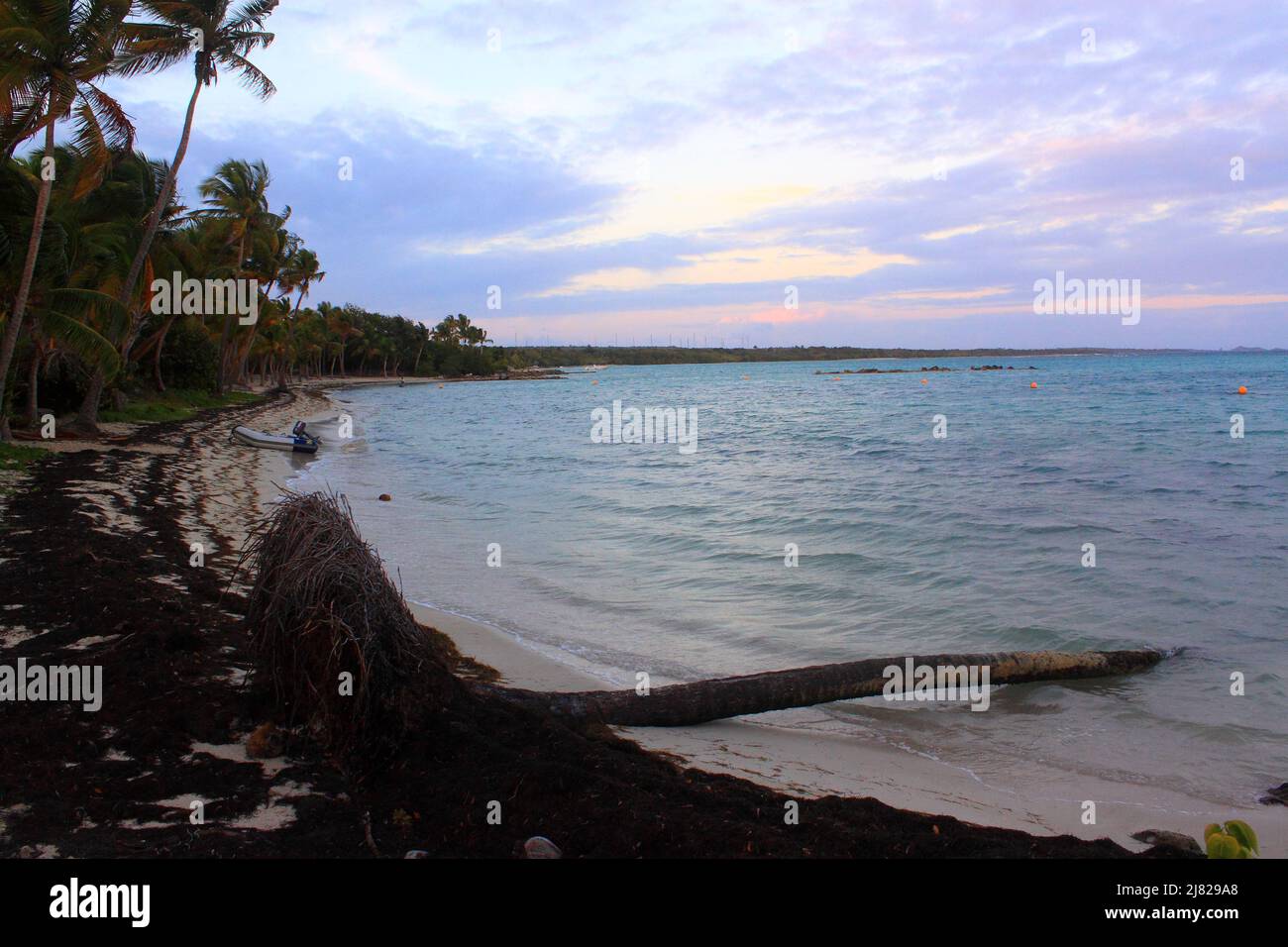 D'Étisme, en fin de journée, Guadeloupe Foto Stock