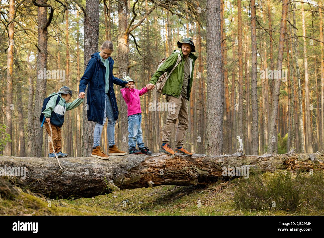 famiglia con bambini che camminano su albero caduto nella foresta Foto Stock