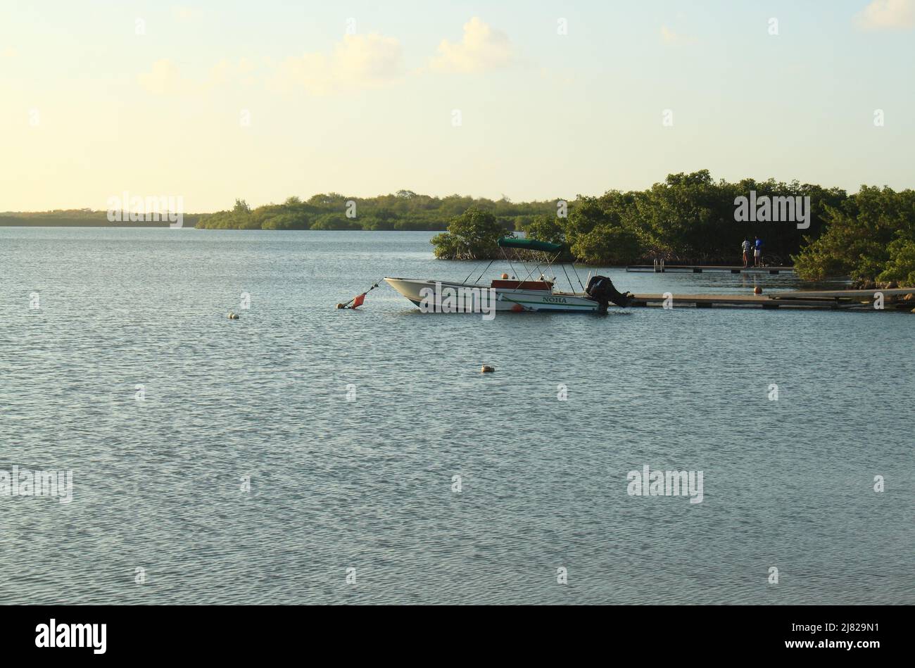 Un bateau à Petit-Canal le soir, Guadalupa Foto Stock