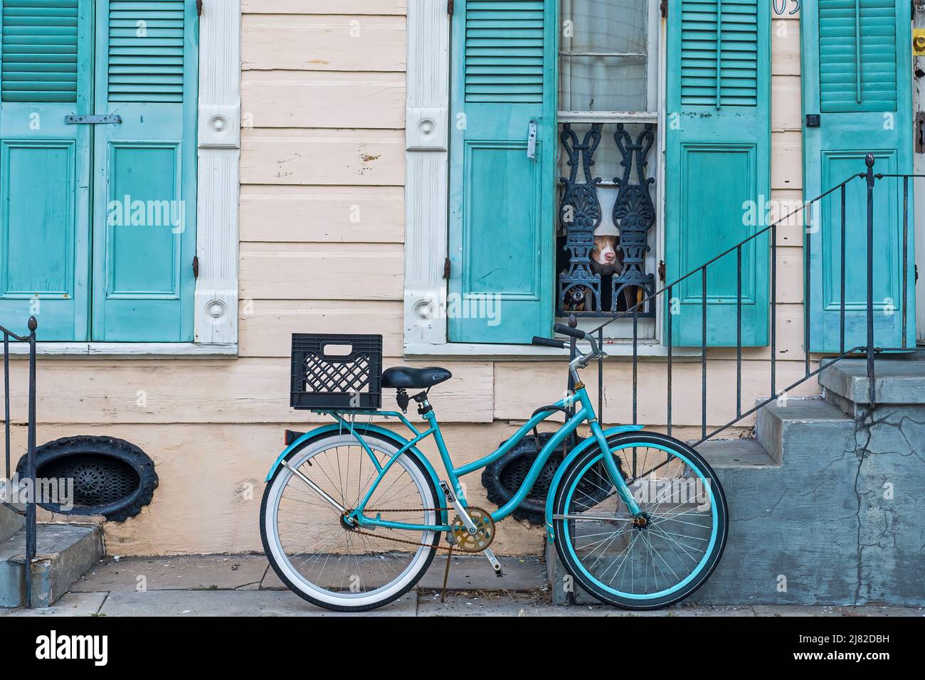NEW ORLEANS, LA - 30 LUGLIO 2020: Bicicletta blu, persiane blu e cane nella finestra di casa fucile nel quartiere francese Foto Stock