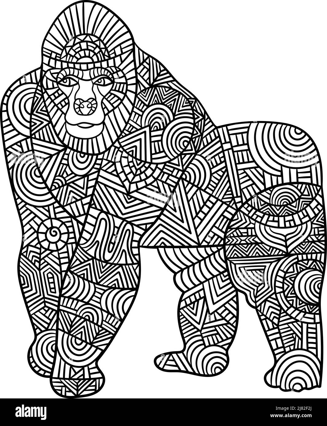 Gorilla Mandala colorazione pagine per adulti Illustrazione Vettoriale