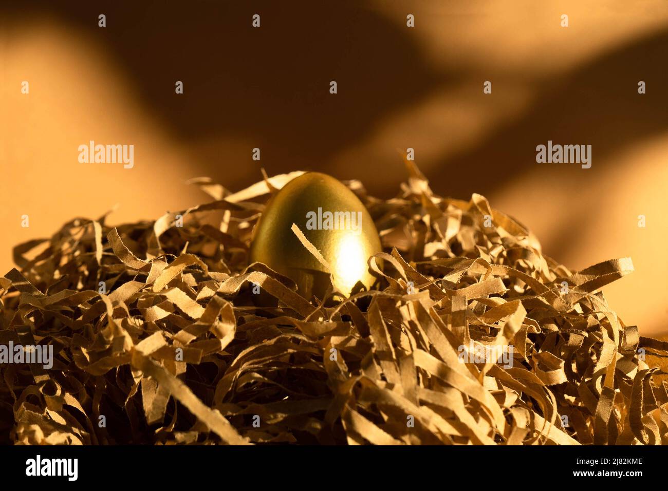 Un uovo d'oro in un nido fatto di carta da imballaggio . Il concetto di prosperità , investimento , profitto , crescita degli investimenti finanziari . Foto Stock