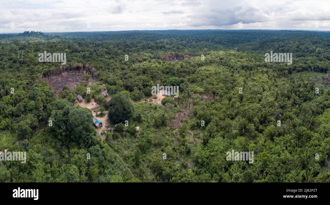 Bella vista aerea drone di alberi della foresta pluviale amazzonica, aree di deforestazione e piccole case di legno, Para, Brasile. Concetto di ambiente, ecologia. Foto Stock