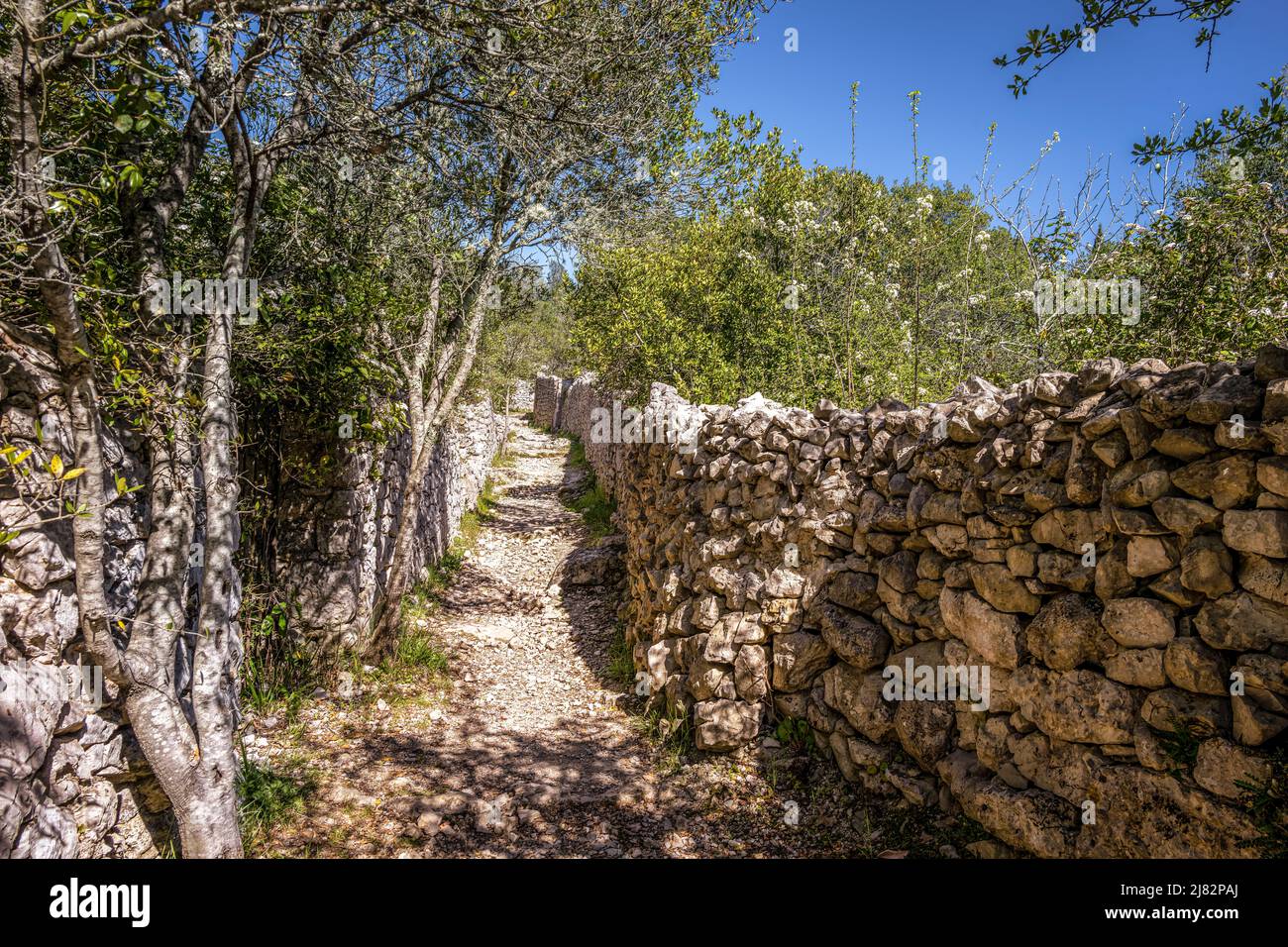 Percorso di pietra tra muri di pietra a secco intorno a Sauve, Gard, nel sud della Francia, in un pomeriggio di primavera soleggiato Foto Stock
