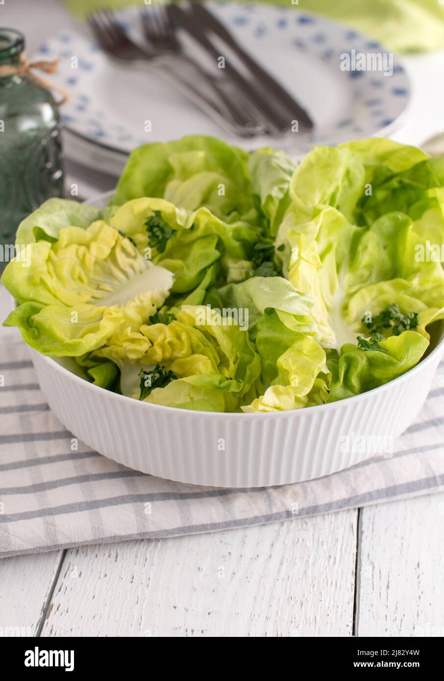 Ciotola per insalata con lattuga verde su un tavolo da pranzo su sfondo bianco Foto Stock