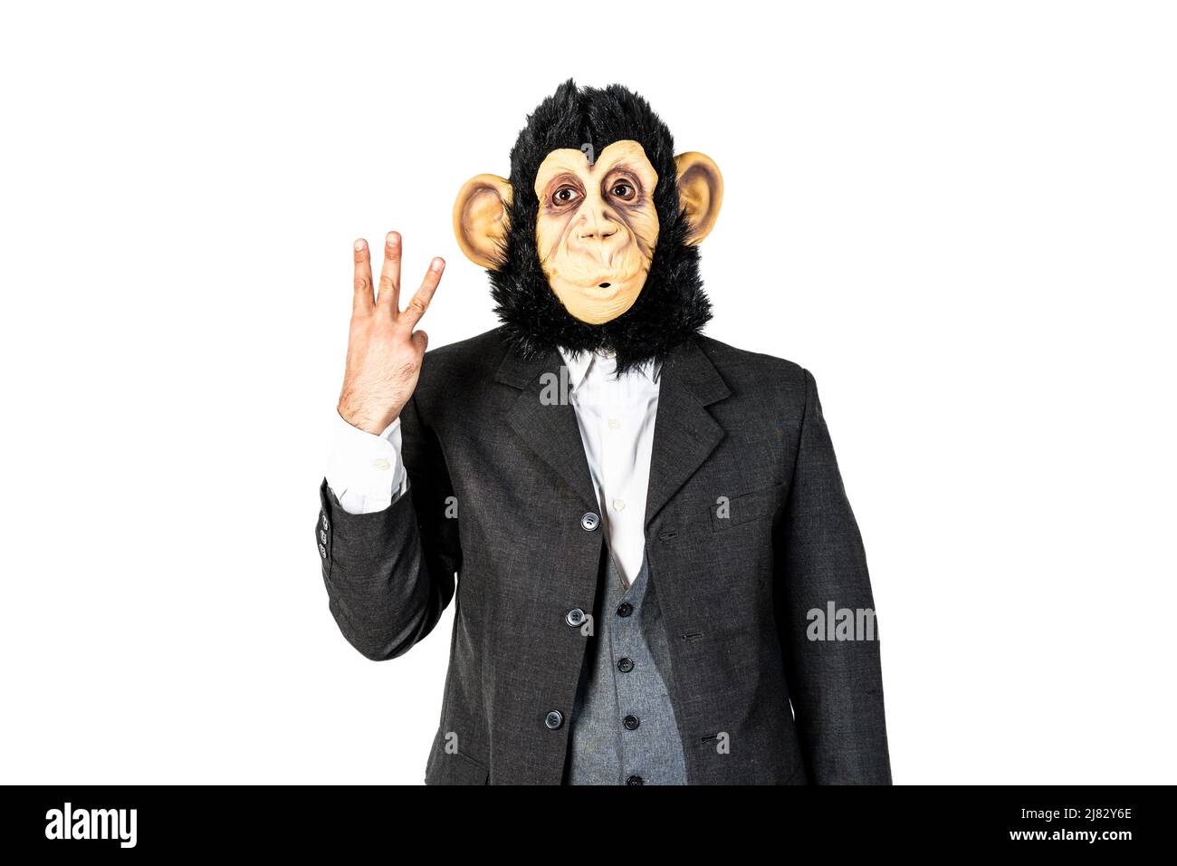 Uomo scimmia che conta tre. Mostrando tre dita della mano Foto Stock