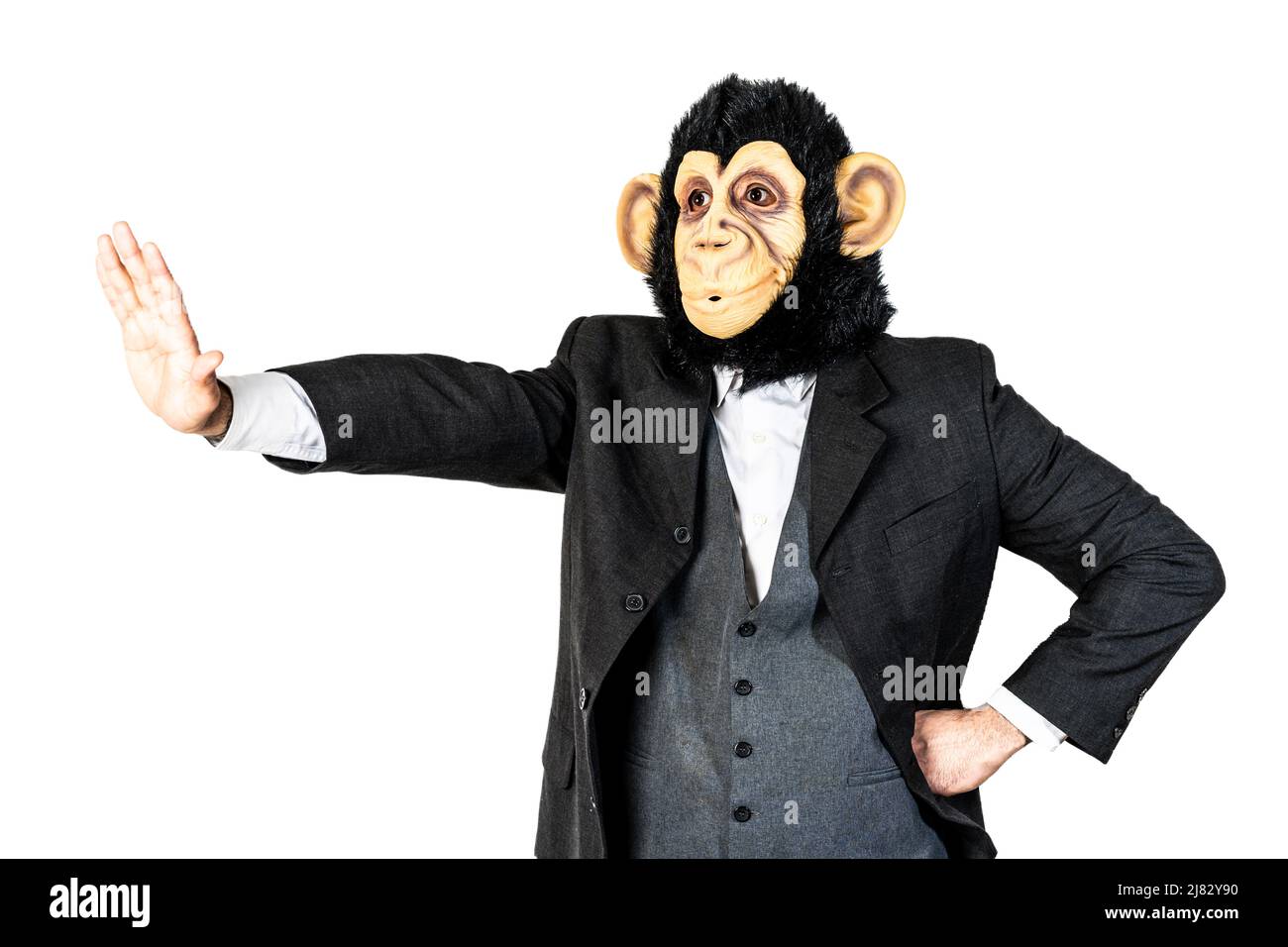 Uomo scimmia che fa il movimento di arresto mostrando con un braccio allungato Foto Stock