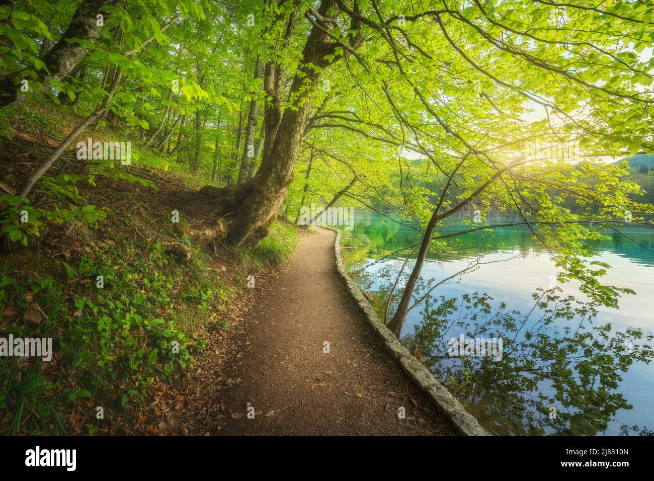 Percorso in bella foresta vicino al lago al tramonto in primavera Foto Stock