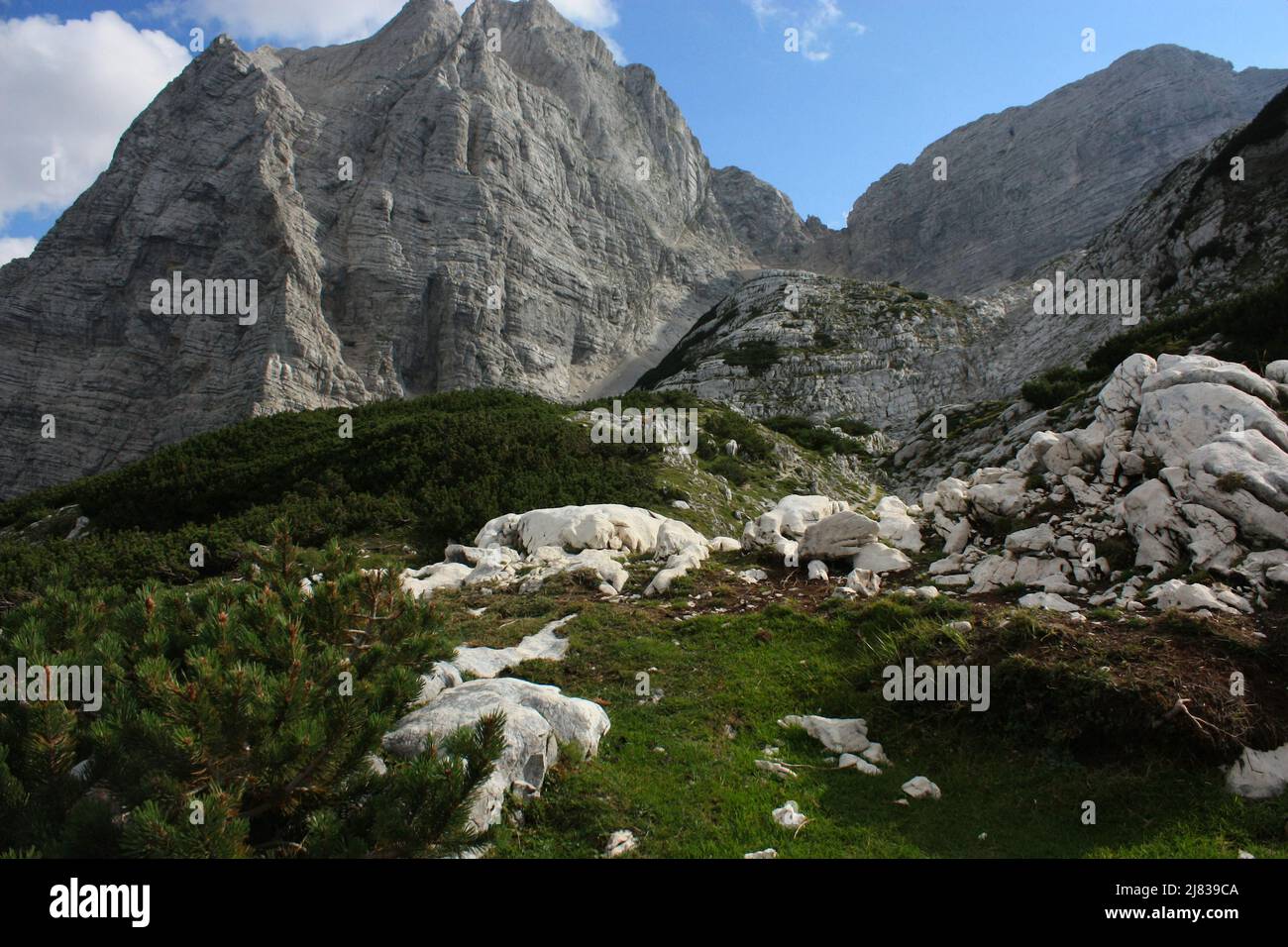 Immagine del paesaggio girato nelle alte montagne della Slovenia, mostrando la montagna Stenar e una famiglia di camoscio guardando verso il basso lo spettatore. Foto Stock