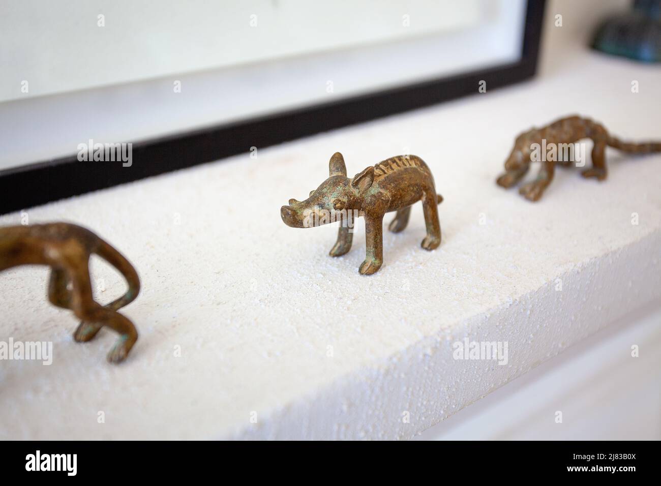 Marcia dei Curios africani Foto Stock Marcia dei Curios africani Foto Stock