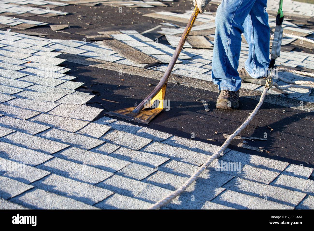 Un Roofer professionale sta usando il suo attrezzo di rimozione del gringolo e l'attacco del crowbar, per uscire dai vecchi scandole sciolti e dal tetto per la sostituzione. Foto Stock