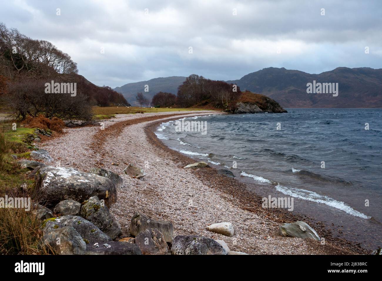 Paesaggi del Regno Unito: Passeggiata lungo la spiaggia di ciottoli di Loch Morar vicino a Mallaig in inverno, Highlands scozzesi, Scozia, Regno Unito Foto Stock