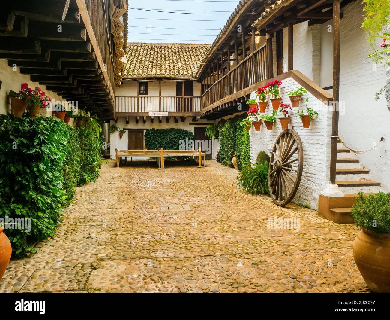 Cortile storico di alloggiamento del Fosforito il museo del flamenco, Cordoba, Spagna Foto Stock