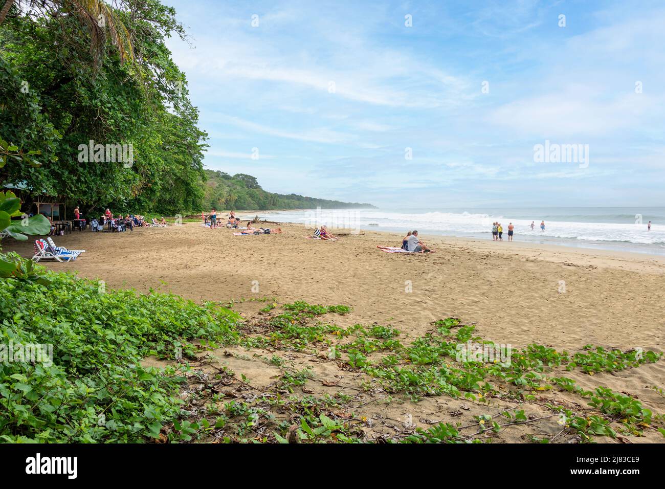 Playa Grande, Parque Nacional Manzanillo, Provincia di Limón, Repubblica di Costa Rica Foto Stock