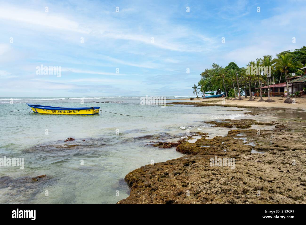 Spiaggia, Chino Beach, Puerto Viejo de Talamanca, Provincia di Limón, Repubblica di Costa Rica Foto Stock