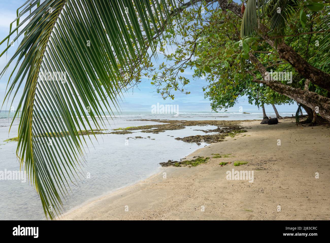 Spiaggia, Chino Beach, Puerto Viejo de Talamanca, Provincia di Limón, Repubblica di Costa Rica Foto Stock