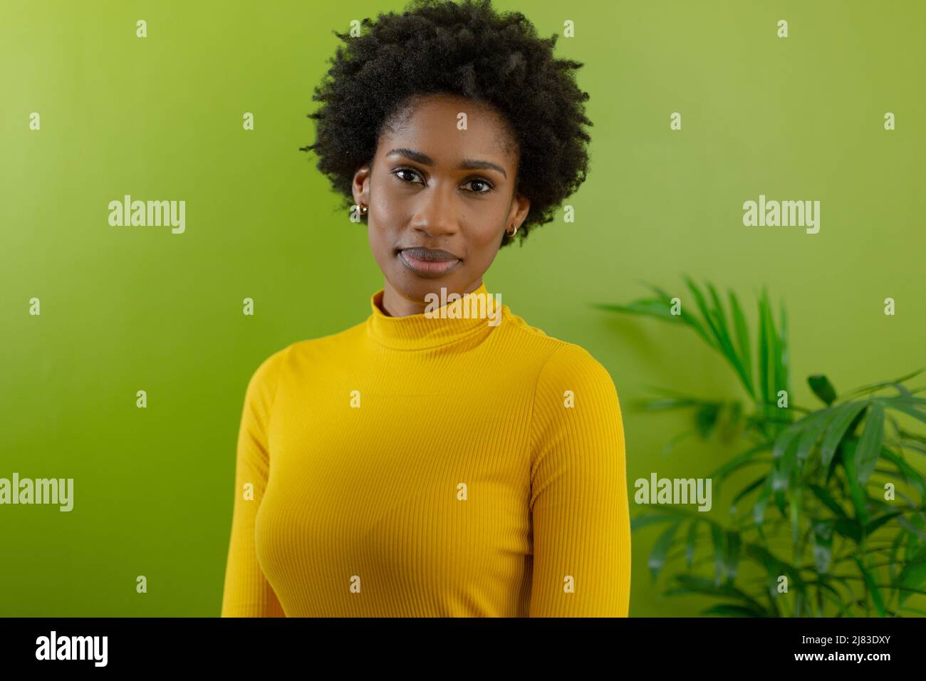 Ritratto di bella giovane consigliera afro-americana con acconciatura afro contro muro verde Foto Stock