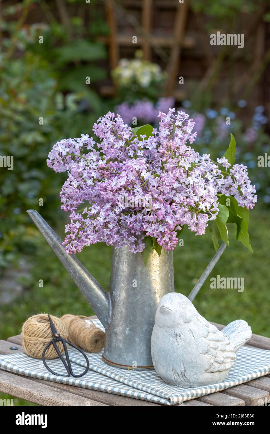 bouquet di lilla in annaffiatura di zinco d'annata in giardino Foto Stock