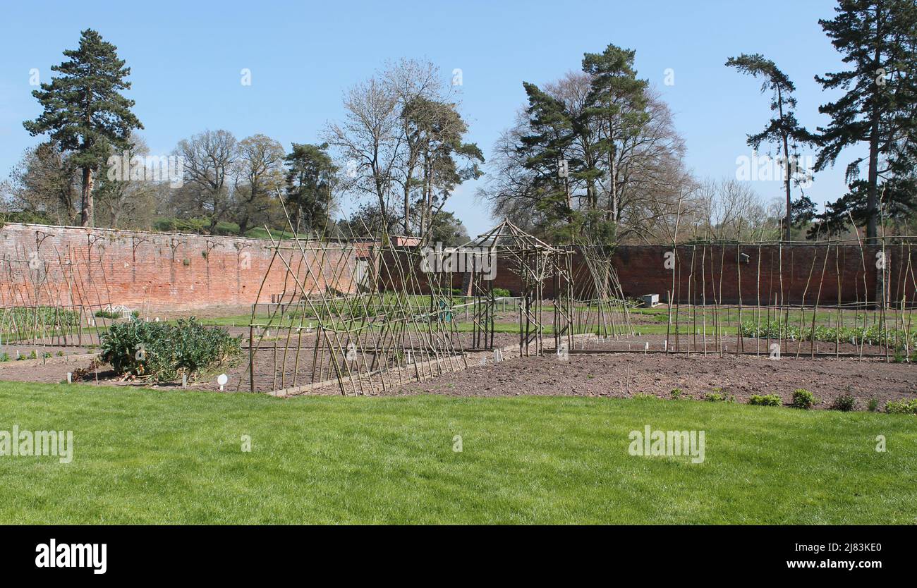 Un'area coltivata di un giardino di cucina murato. Foto Stock
