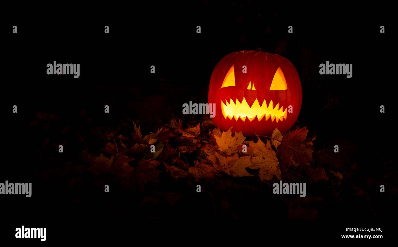Zucche incandescenti di notte, faccia della zucca, zucche intagliate, grimace, Halloween, sfondo scuro Foto Stock
