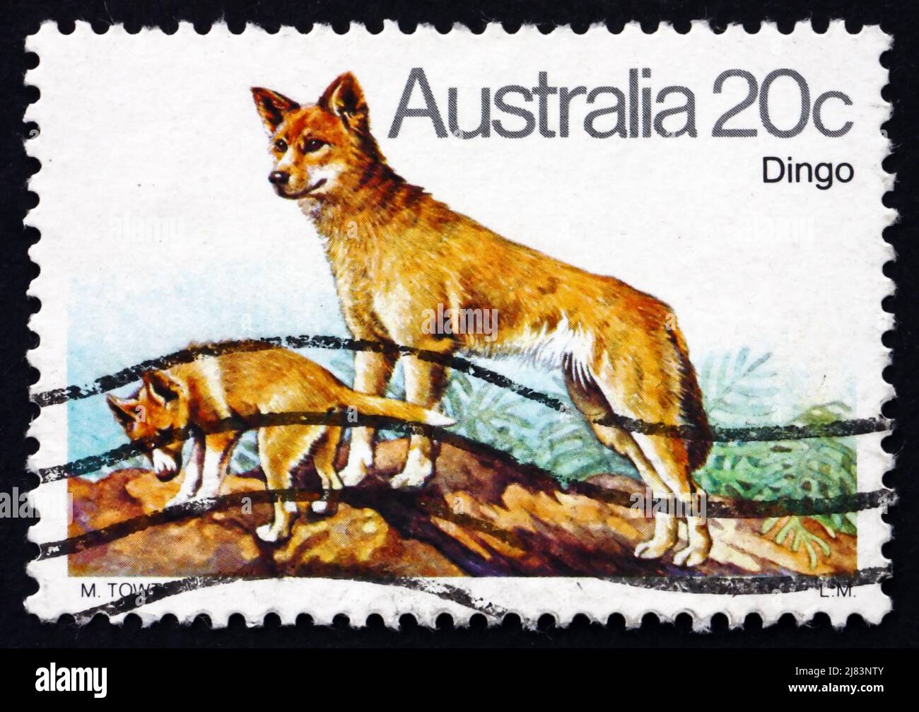 AUSTRALIA - CIRCA 1980: Un timbro stampato in Australia mostra Dingo, Australian Wild Dog, Canis Lupus Dingo, circa 1980 Foto Stock